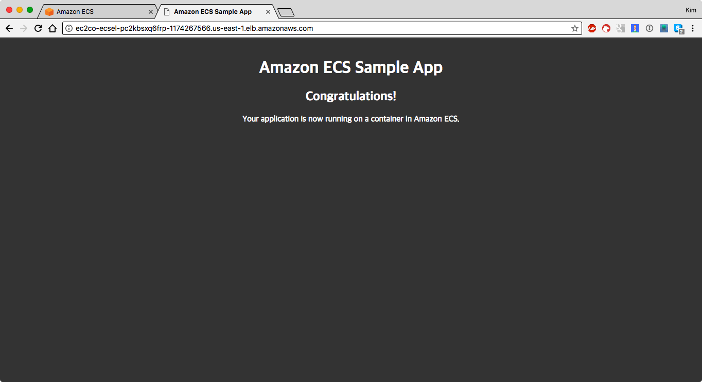 로드밸런서에 접속해 파게이트로 실행된 ECS Sample App이 실행된 것을 확인합니다