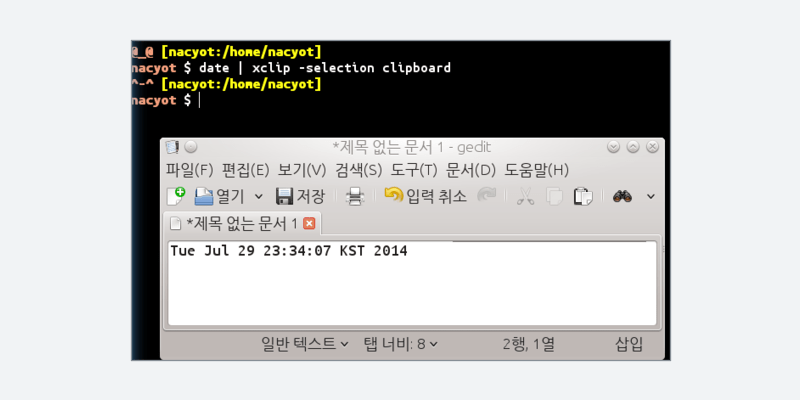 X클립을 사용해 터미널에서 텍스트를 복사한 결과