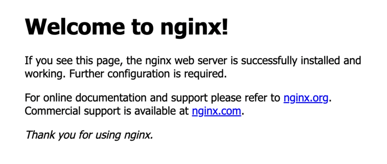 fly.io로 배포한 nginx 화면