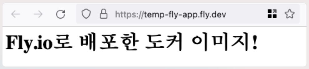 직접 만든 Dockerfile로 배포한 앱