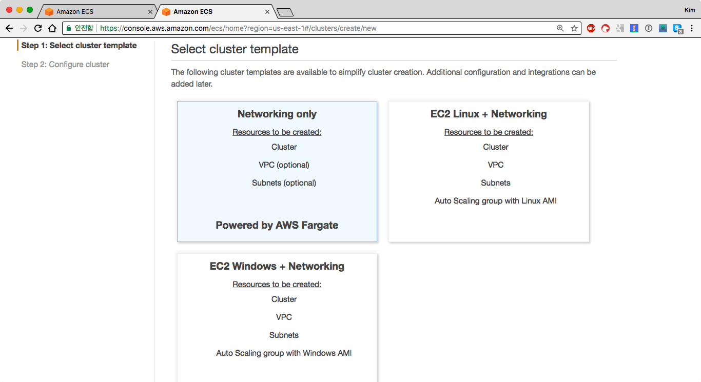 첫 번째 단계: 비어있는 클러스터만 생성하려면 Networking only를 선택합니다